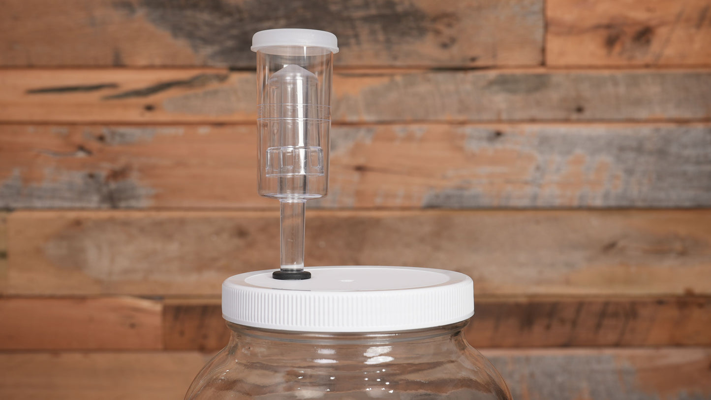 Glass Mead Making Starter Kit